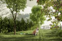 JM Marques | Empreendimento - Home Resort Penha