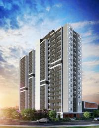 JM Marques | Empreendimento - Living Concept Panamby