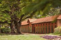JM Marques | Empreendimento - Residencial Haras Patente