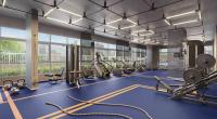 JM Marques | Empreendimento - The Collection Paulista