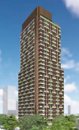Nex One Renato 627